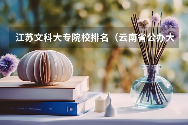江苏文科大专院校排名（云南省公办大专院校排行榜）