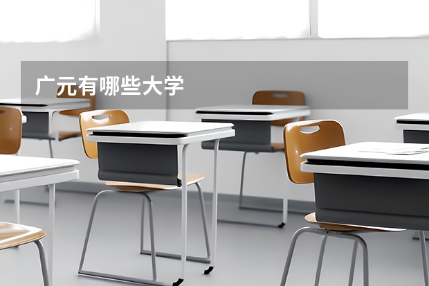 广元有哪些大学