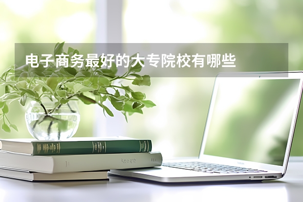 电子商务最好的大专院校有哪些