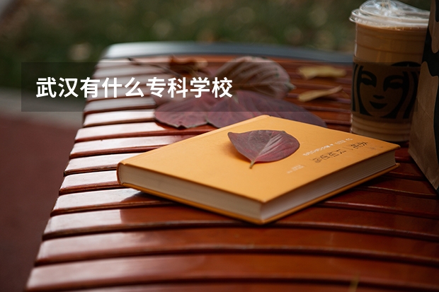 武汉有什么专科学校