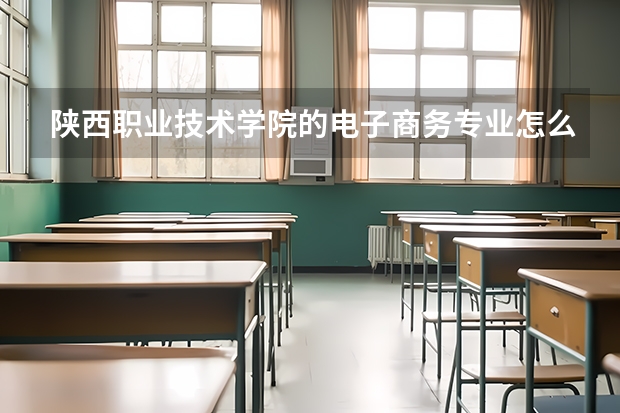 陕西职业技术学院的电子商务专业怎么样