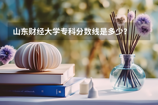 山东财经大学专科分数线是多少?