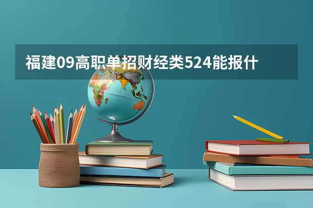 福建09高职单招财经类524能报什么学校?