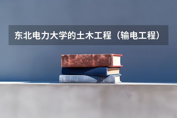东北电力大学的土木工程（输电工程）就业怎么样？待遇好吗？