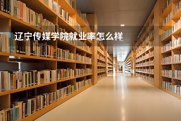 辽宁传媒学院就业率怎么样
