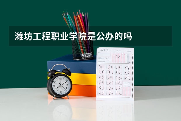 潍坊工程职业学院是公办的吗