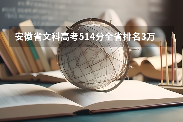 安徽省文科高考514分全省排名3万8千8百名填什么学校可以走？