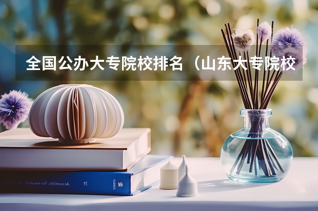 全国公办大专院校排名（山东大专院校公办排名）
