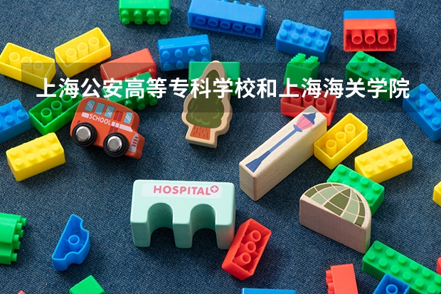 上海公安高等专科学校和上海海关学院哪个毕业后可以直接做警察？