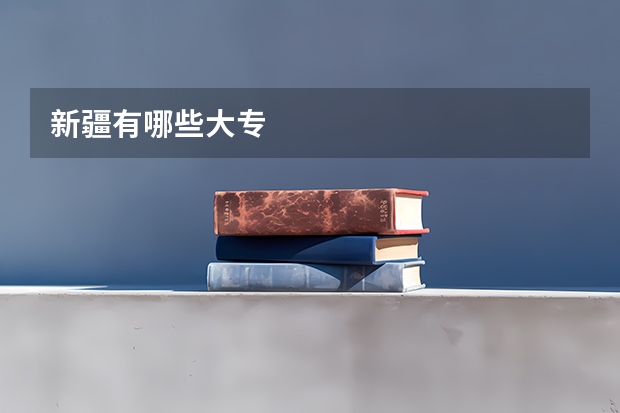 新疆有哪些大专
