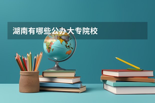 湖南有哪些公办大专院校