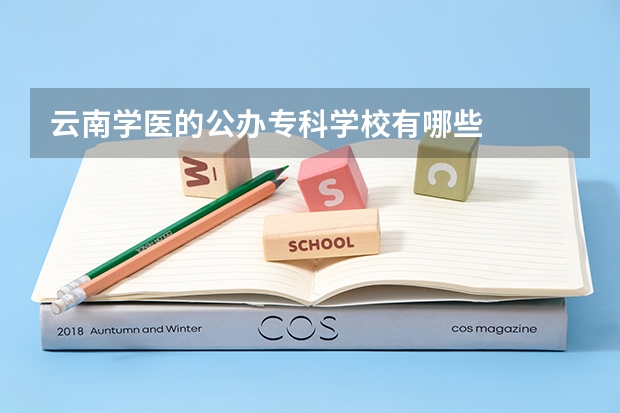 云南学医的公办专科学校有哪些