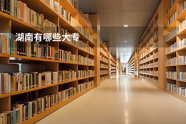 湖南有哪些大专