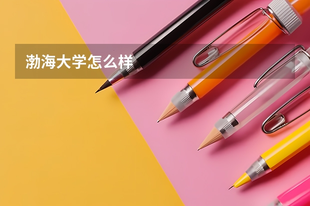 渤海大学怎么样