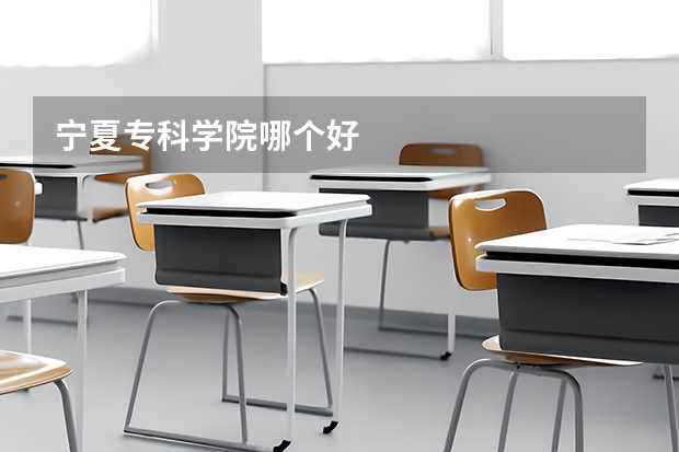 宁夏专科学院哪个好