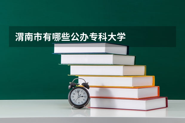 渭南市有哪些公办专科大学