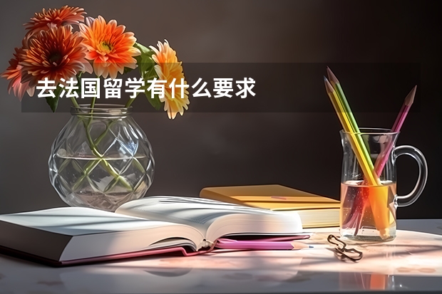 去法国留学有什么要求