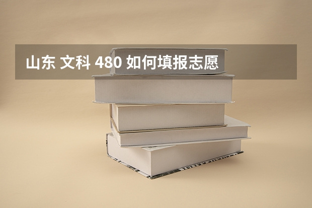 山东 文科 480 如何填报志愿
