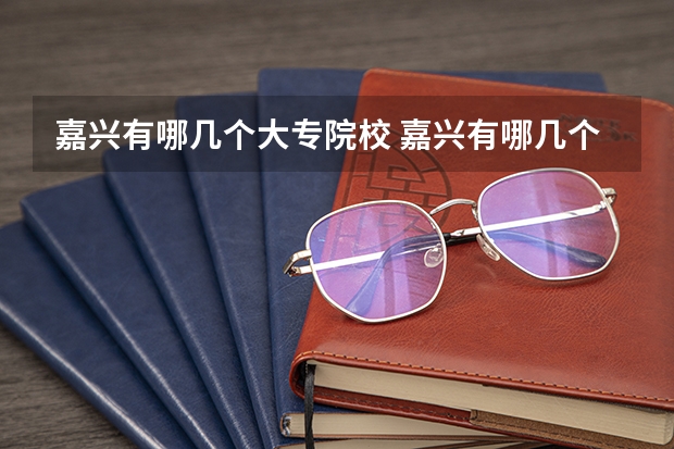 嘉兴有哪几个大专院校 嘉兴有哪几个大专院校