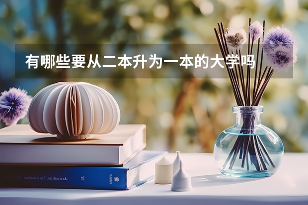 有哪些要从二本升为一本的大学吗