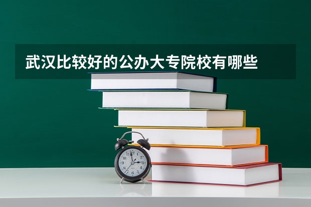 武汉比较好的公办大专院校有哪些
