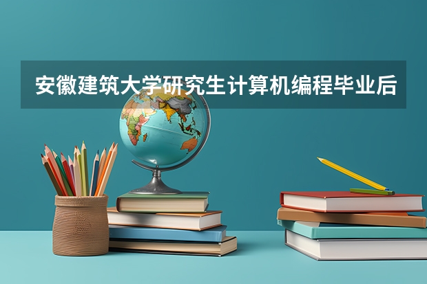 安徽建筑大学研究生计算机编程毕业后年薪多少