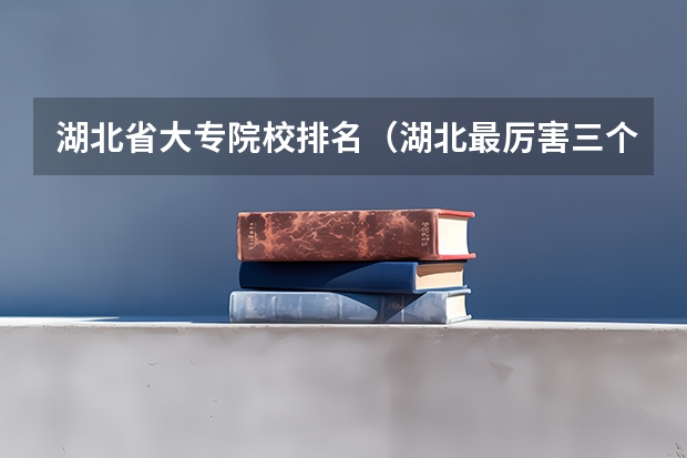 湖北省大专院校排名（湖北最厉害三个大专）