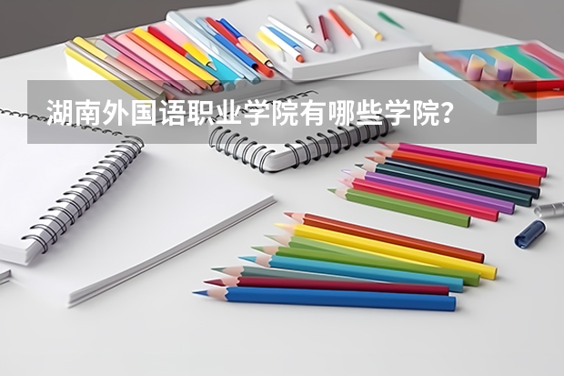湖南外国语职业学院有哪些学院？