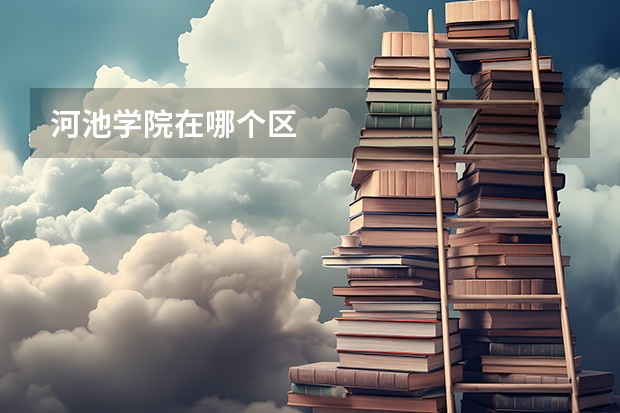 河池学院在哪个区