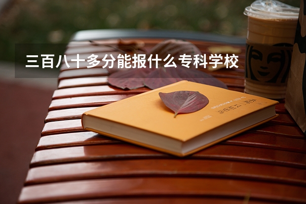三百八十多分能报什么专科学校