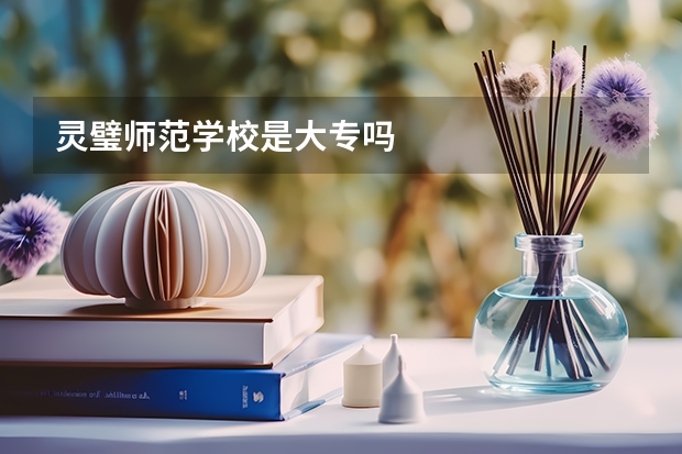 灵璧师范学校是大专吗
