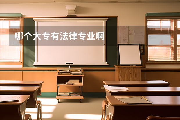 哪个大专有法律专业啊