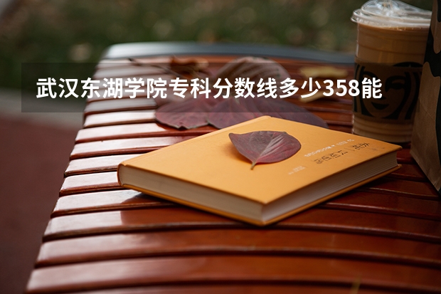 武汉东湖学院专科分数线多少358能不能上