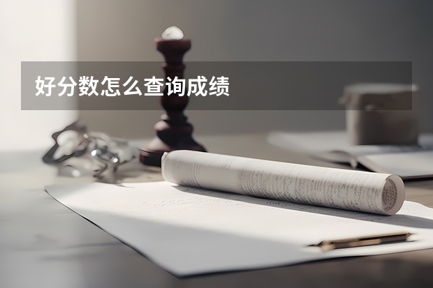 好分数怎么查询成绩