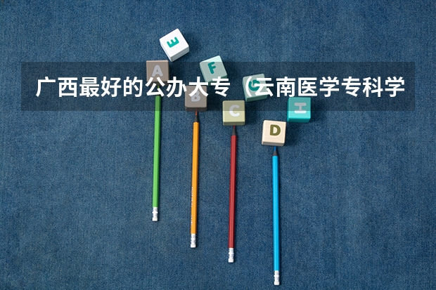 广西最好的公办大专（云南医学专科学校排名）