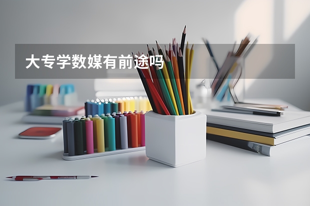 大专学数媒有前途吗