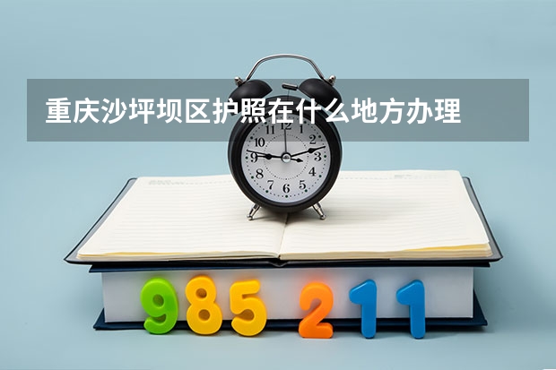 重庆沙坪坝区护照在什么地方办理