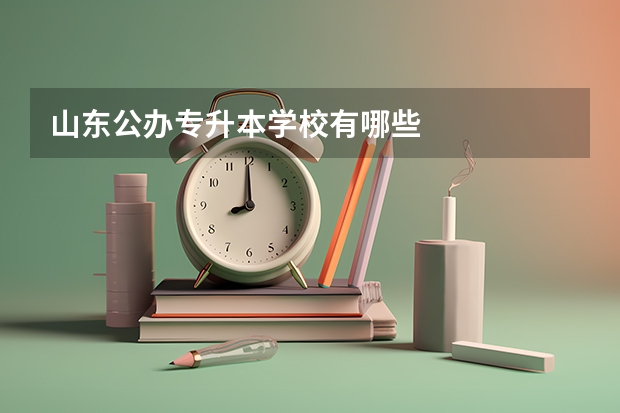山东公办专升本学校有哪些