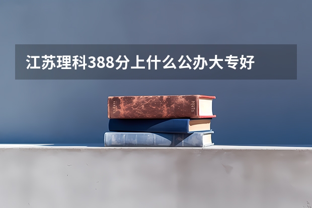 江苏理科388分上什么公办大专好