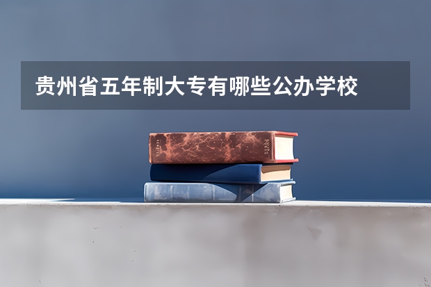贵州省五年制大专有哪些公办学校