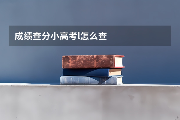 成绩查分小高考l怎么查