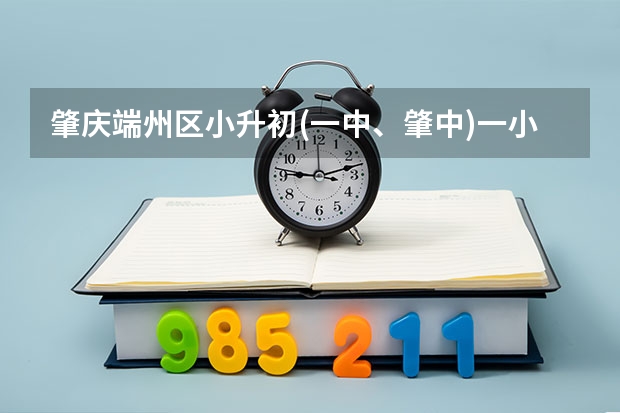 肇庆端州区小升初(一中、肇中)一小分数是多少啊？